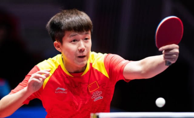 迅速建立起 迅速建立起