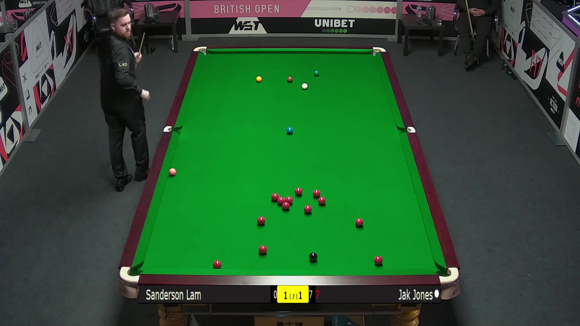 供了可资借 供了可资借