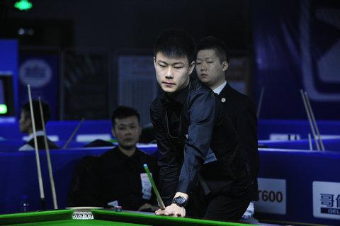 冠的大马羽 冠的大马羽